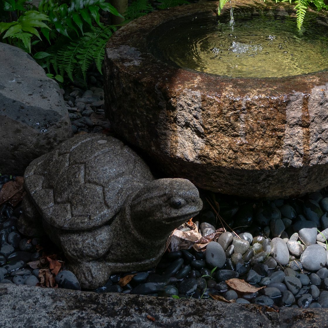 亀井の水と亀の石像